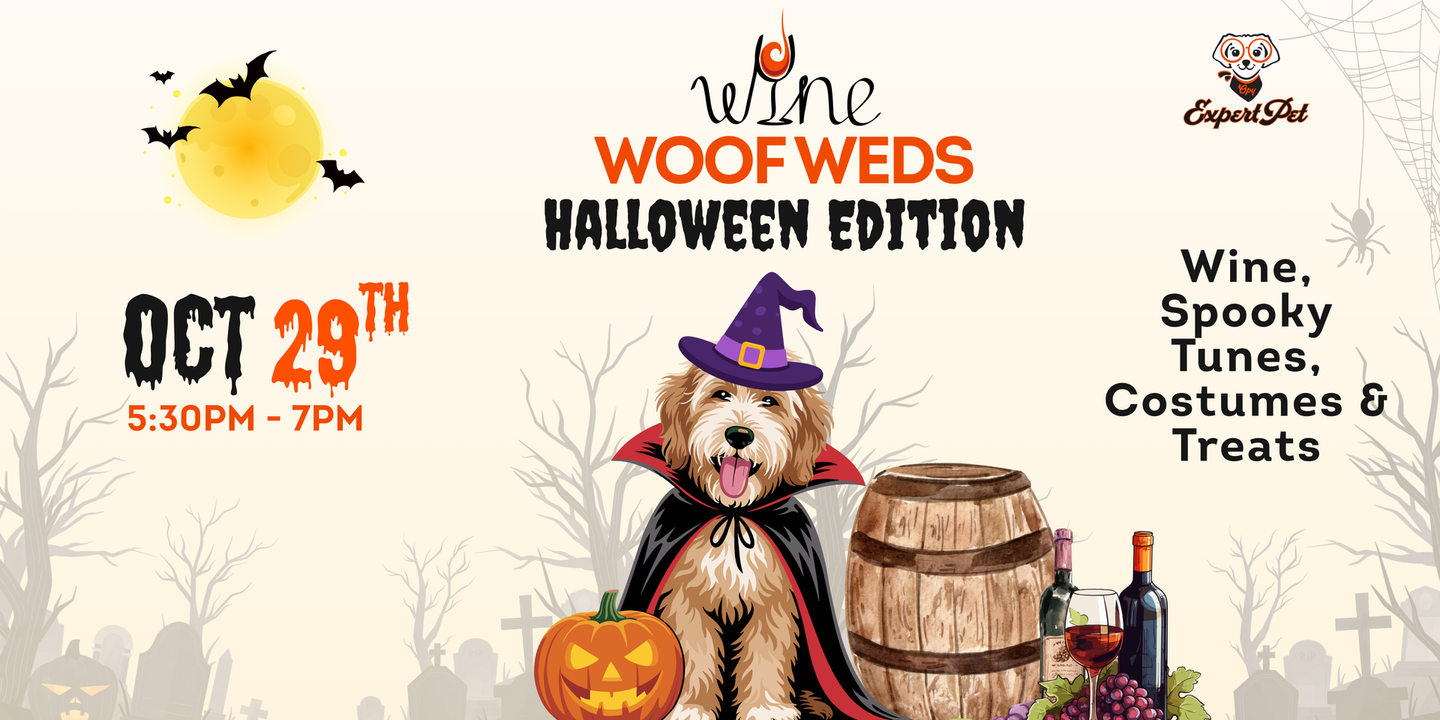 Halloween-themed flyer: 