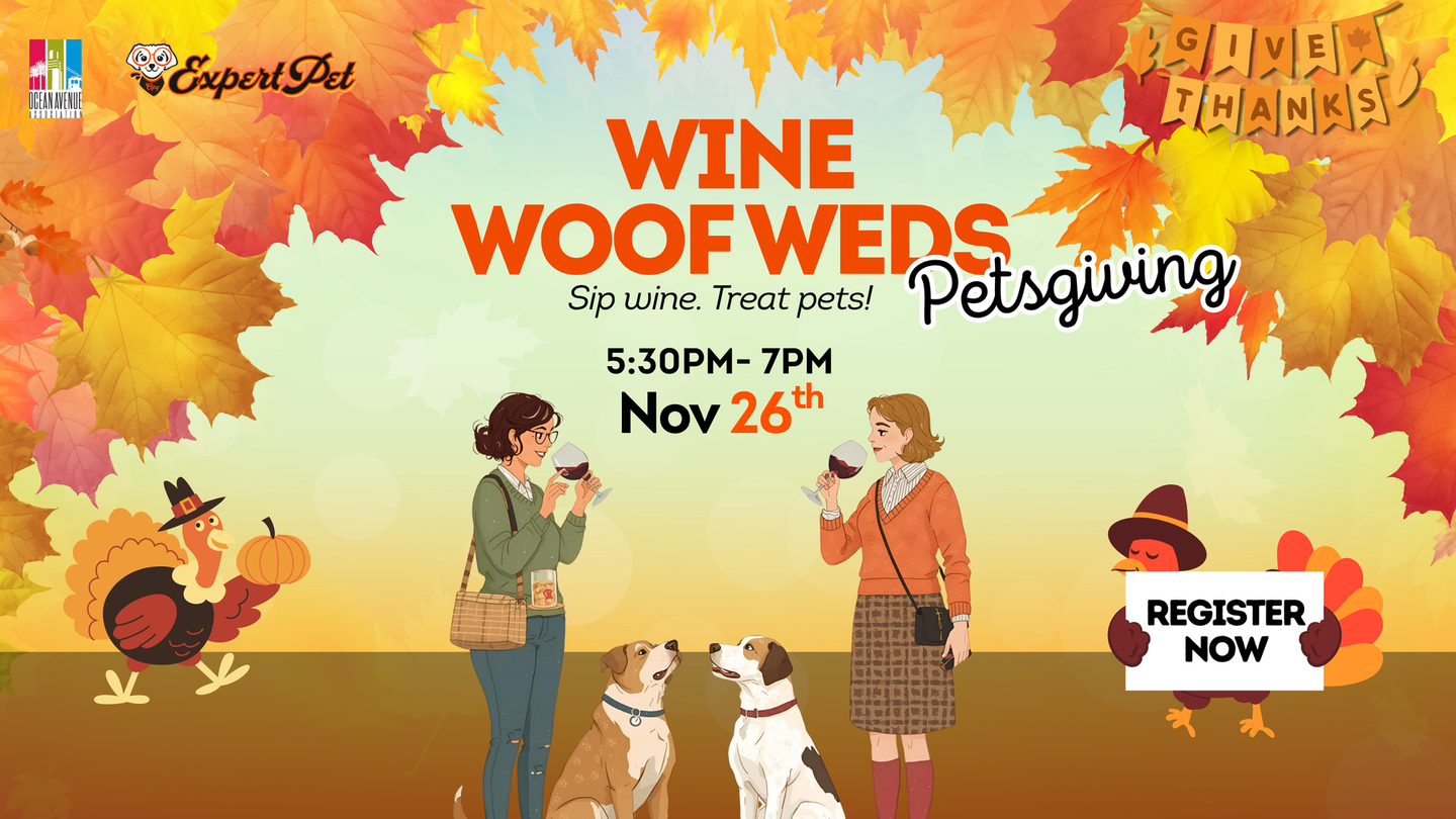 Wine Woof Weds Petsgiving event: Two women with dogs drinking wine. Thanksgiving theme with turkey decor, fall leaves. Nov 26.