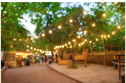 A blurry picture of a park with lots of lights hanging from trees.