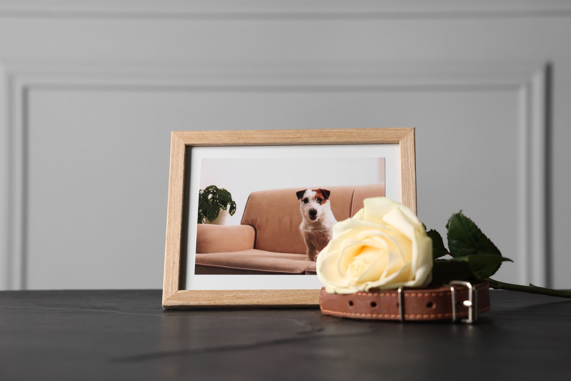 there is a picture of a dog and a urn on the table .