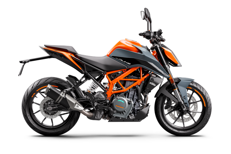 390 Duke
