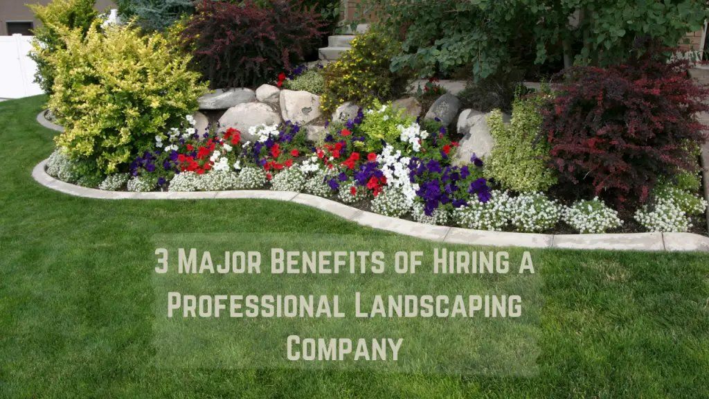 3 Major Benefits of Hiring a Professional Landscaping Company