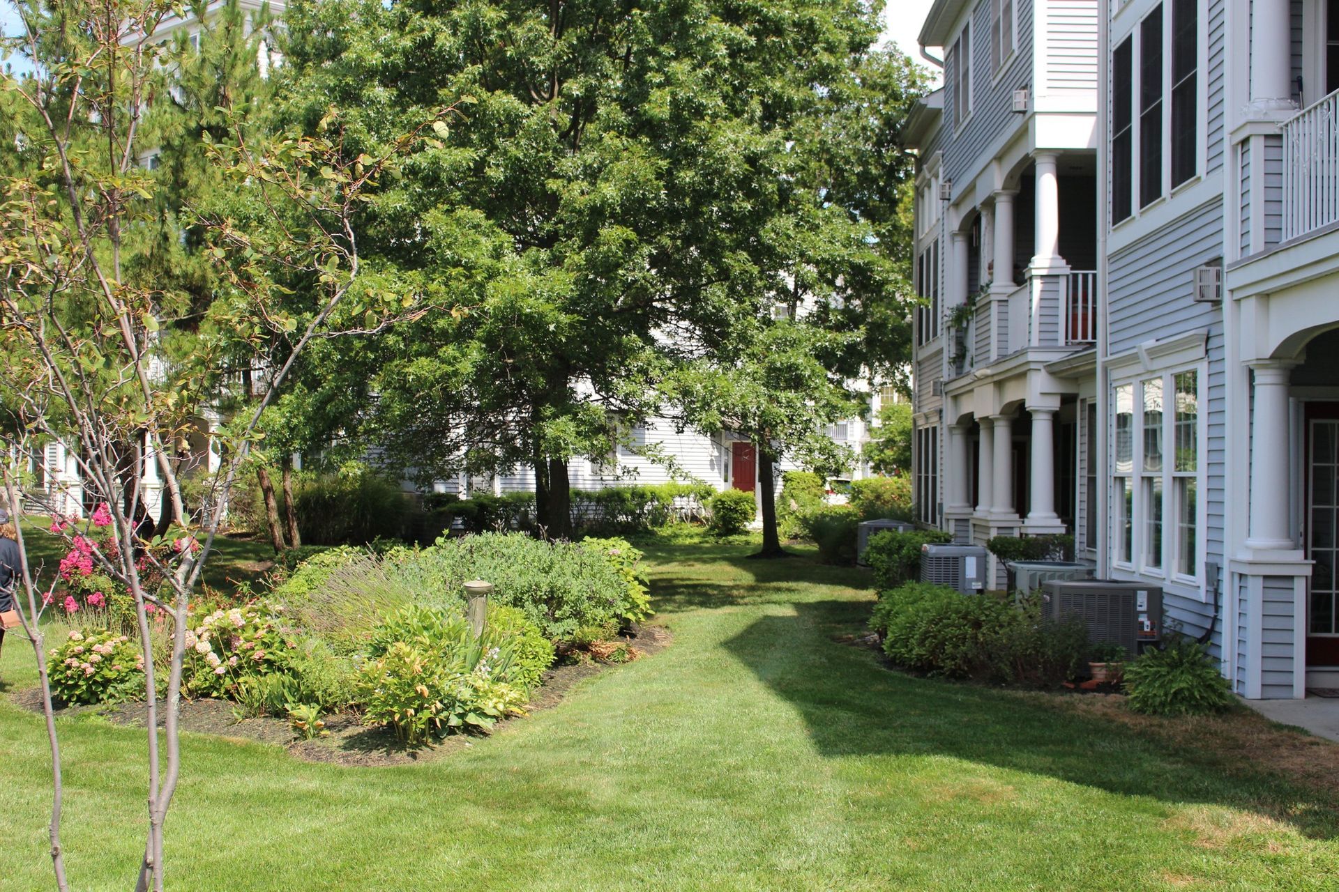 commercial lawn care and property care