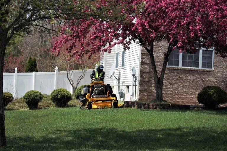 3 Reasons Why it’s Important to Mow Your Lawn Regularly