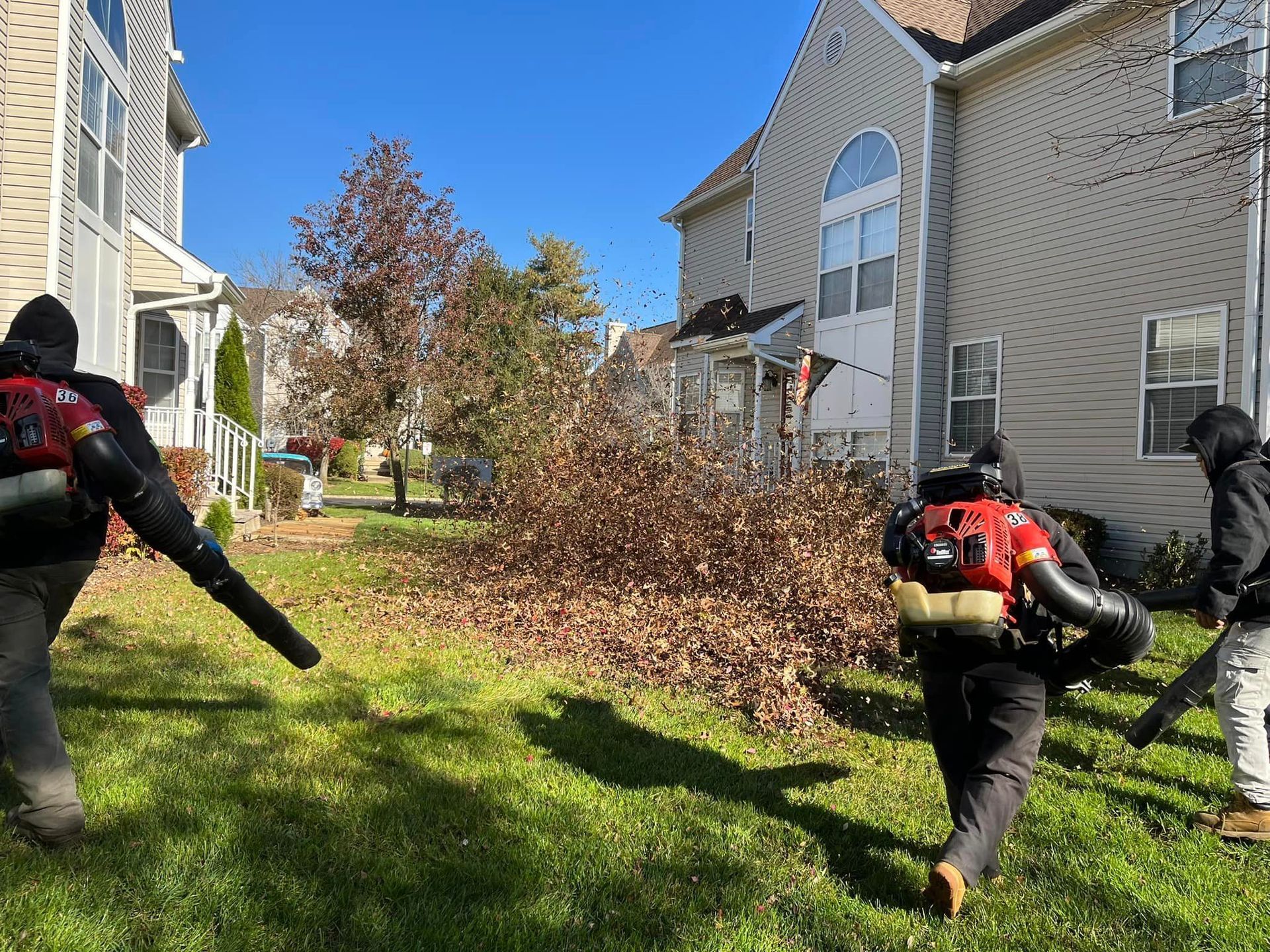 Reasons to Schedule a Spring Yard Clean-up