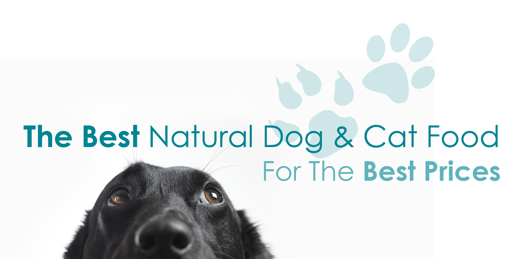 The Natural Pet Outlet in Fairfield, CT Pet Store in Newtown & Monroe, CT
