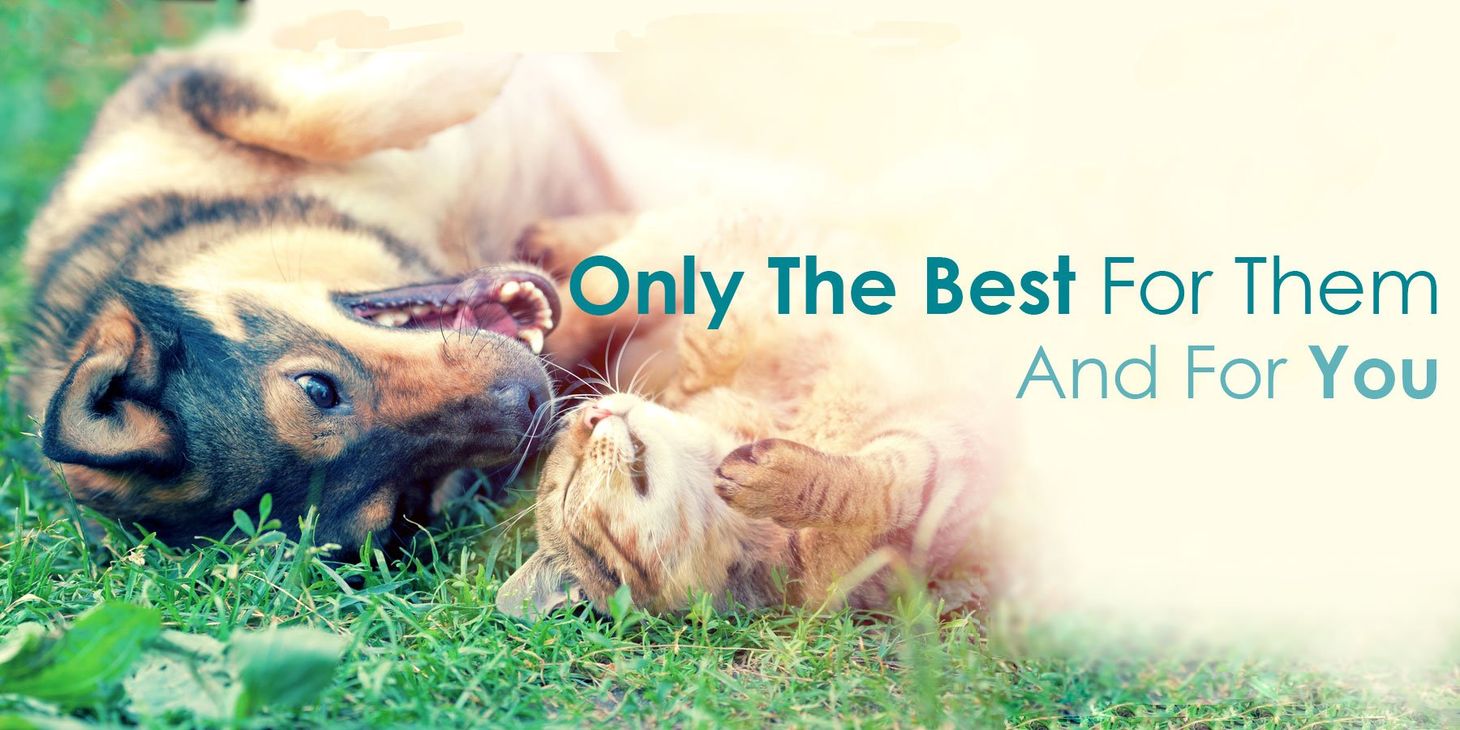 The Natural Pet Outlet in Fairfield, CT Pet Store in Newtown & Monroe, CT