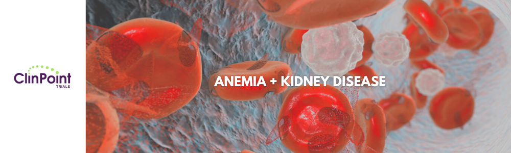 Anemia and Kidney Disease Graphic