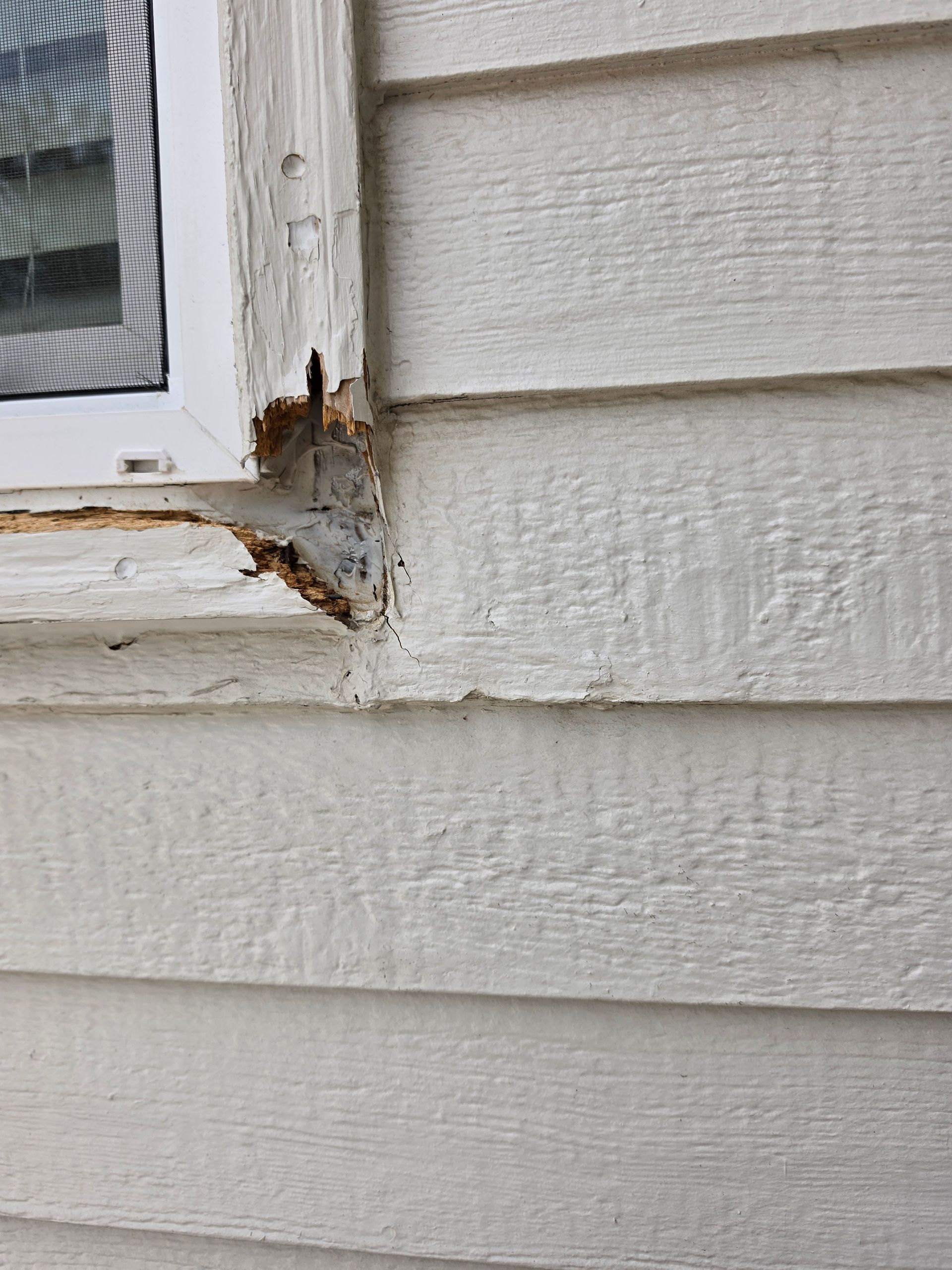 Siding and  WindowTrim Replacement