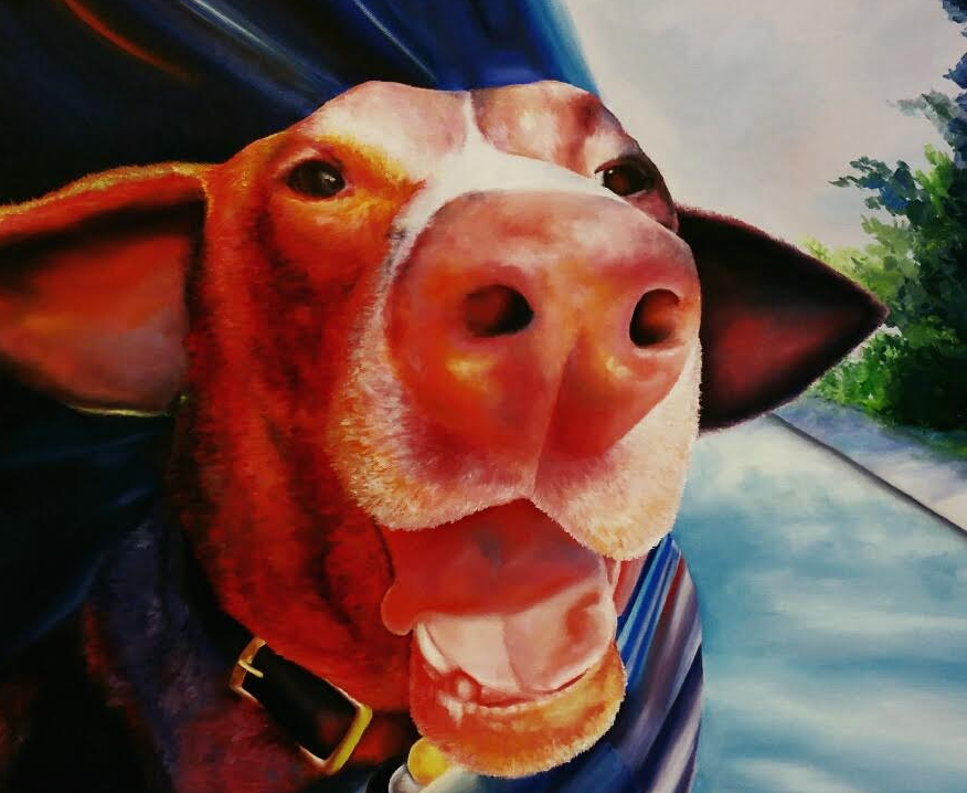 Cow wearing a superhero cape, looking excited with open mouth, outdoors.