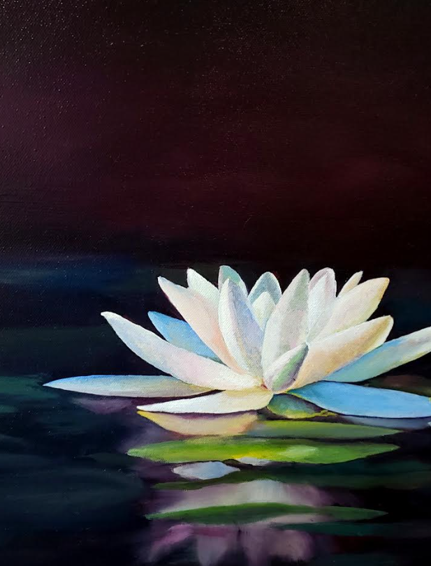 White water lily with blue-tipped petals floats on dark water, reflected below, against a dark purple background.