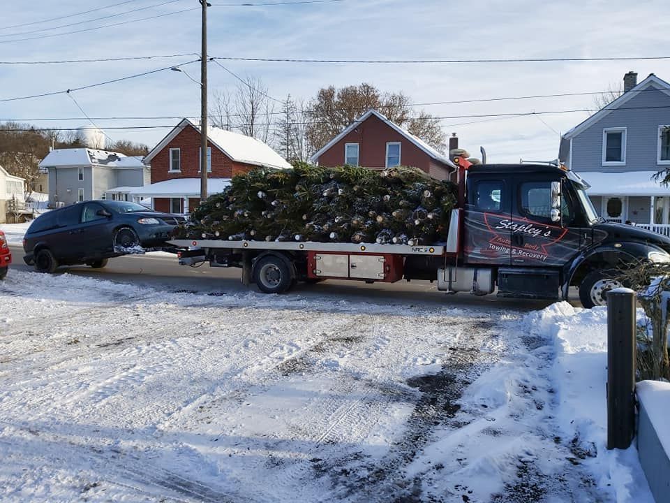 Tow truck with pile of evergreen trees hauling a car on a snow-covered street in front of houses.