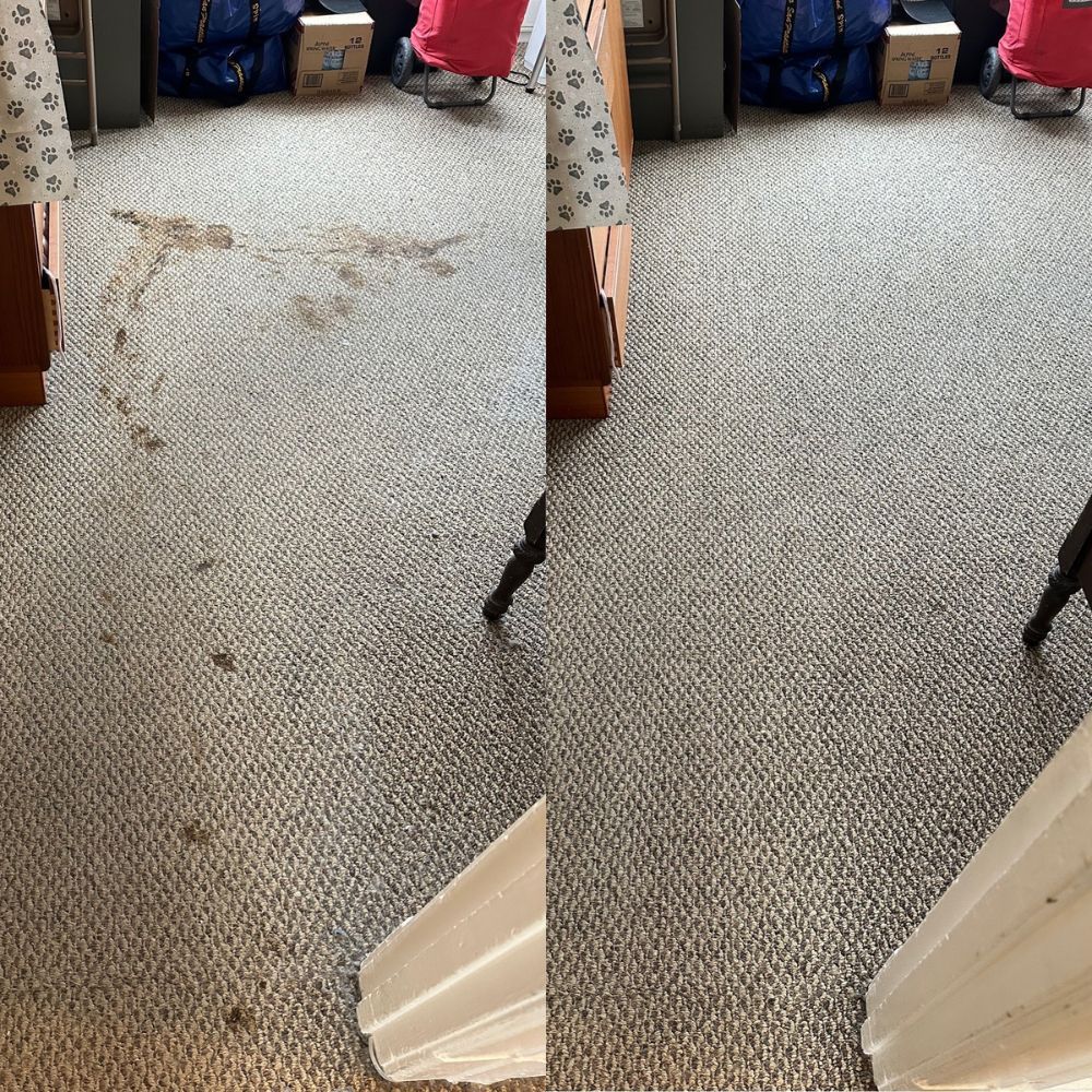 A before and after photo of a dirty carpet in a living room.