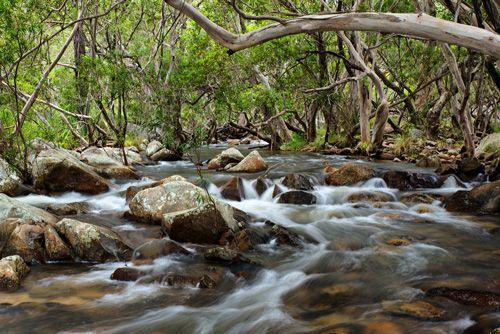 Serene river flowing through the picturesque Tablelands — Cairns All Star Glass 'n' Aluminium in Tablelands, QLD