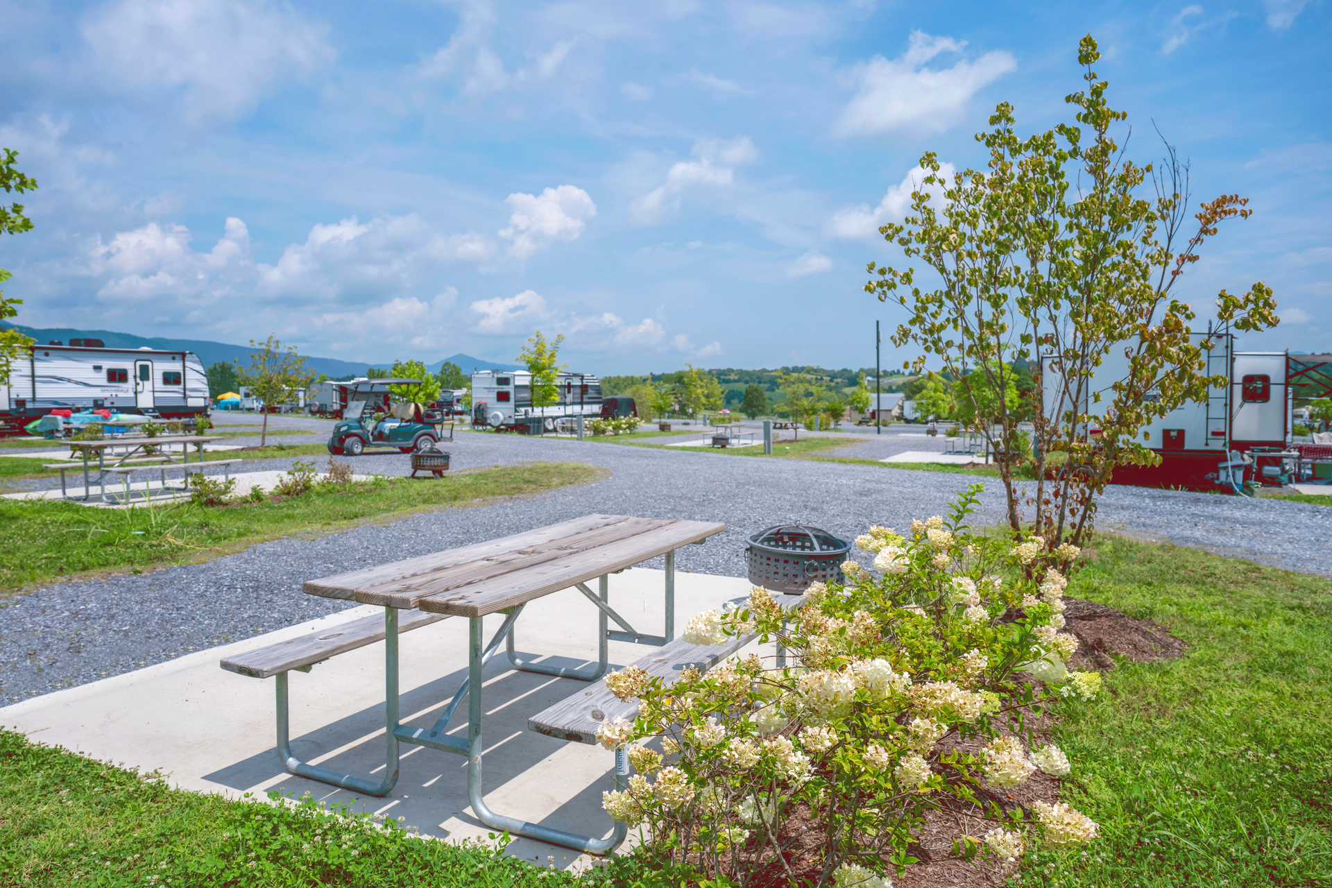 Scenic view back in site