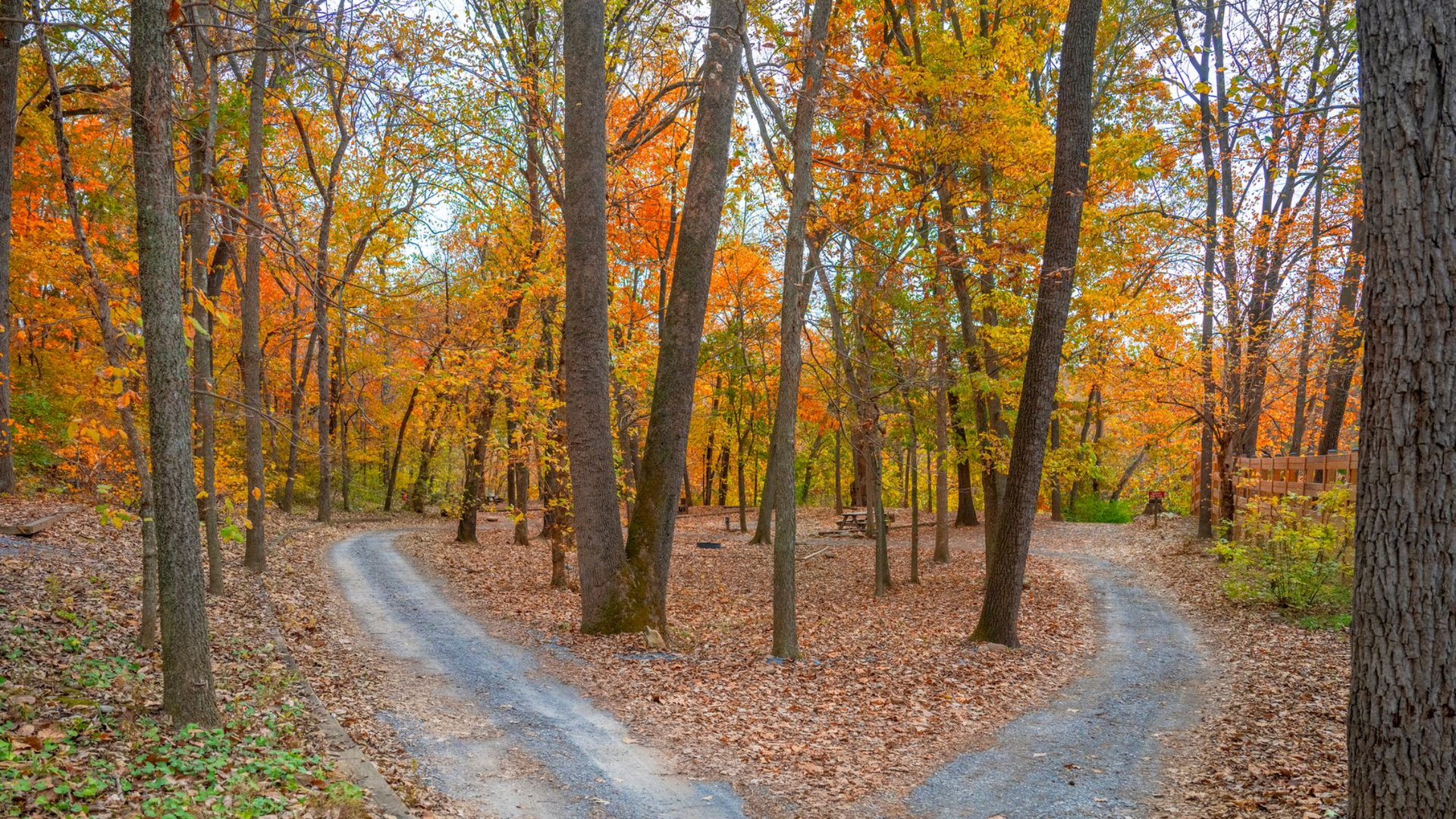 fall foliage at Luray RV Resort
