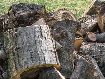 Chopped wood - Tree services in Scotch Plains, NJ