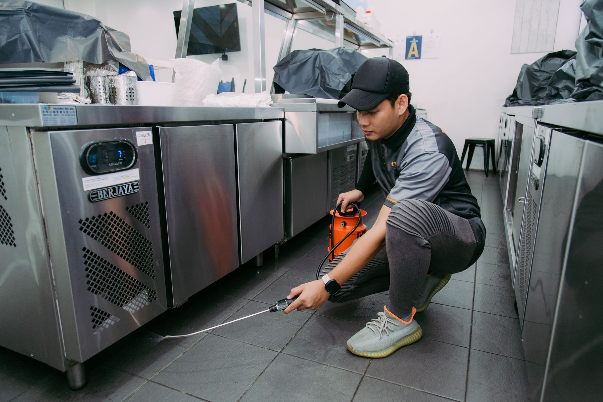 pest control - fly residual spray