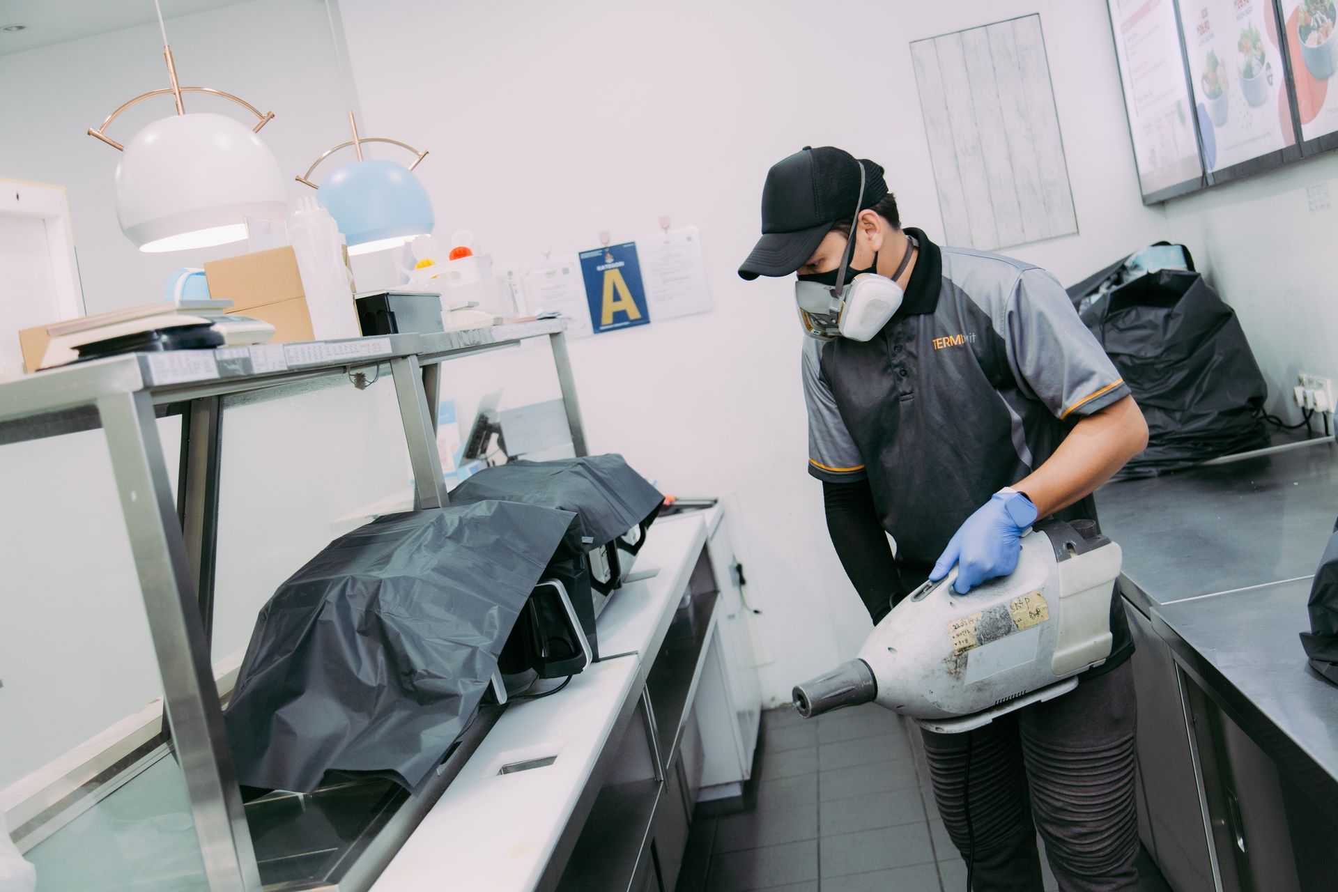 pest control flies ulv misting