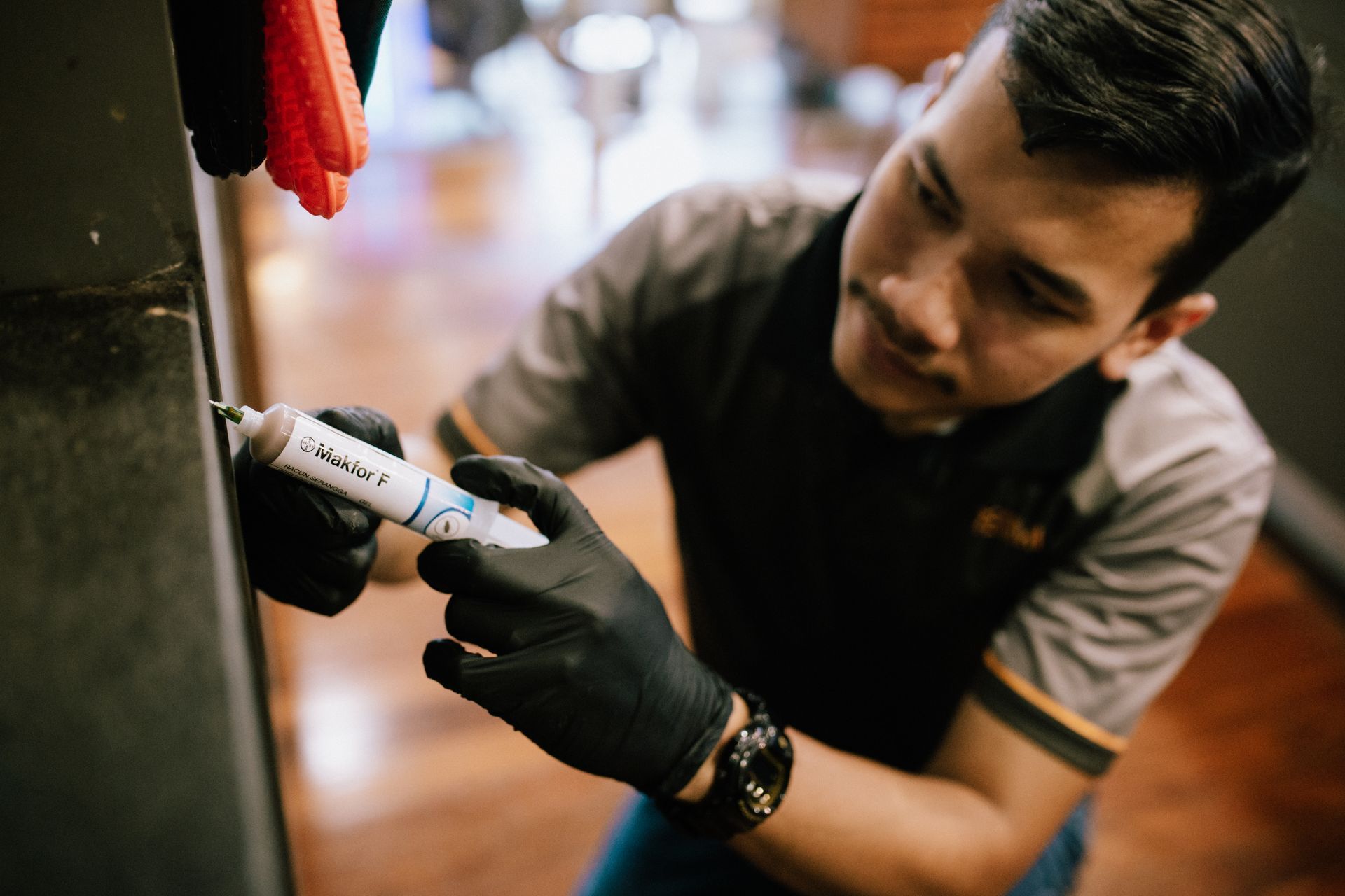 cockroach gel baiting