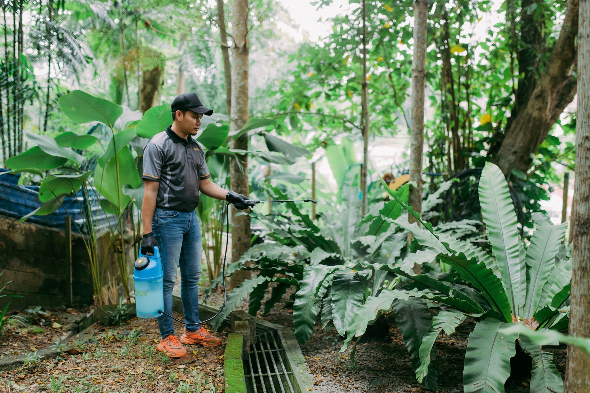 mosquito larviciding