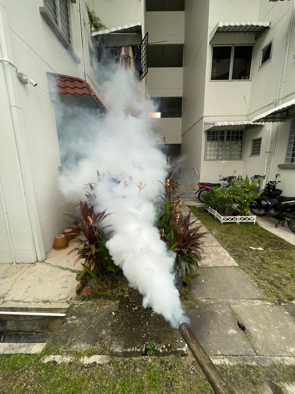 mosquito fogging for apartment