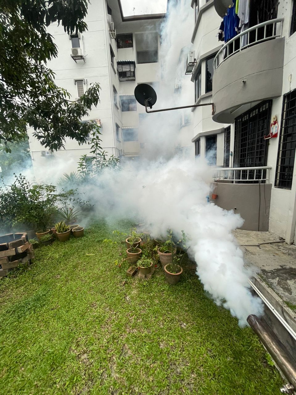 Mosquito fogging for residential