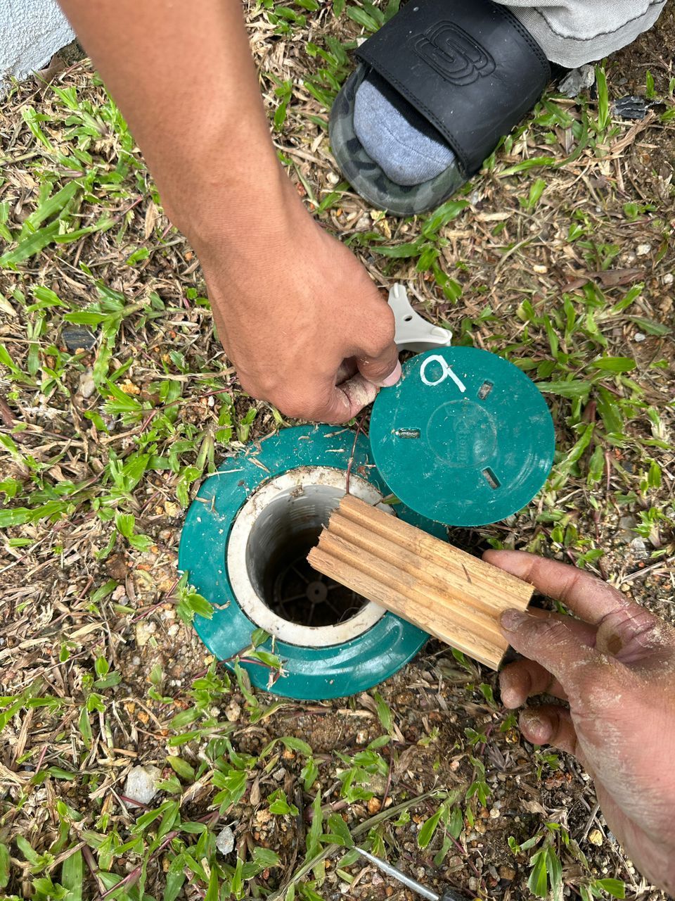 termite inground station to monitor termite activity in the garden