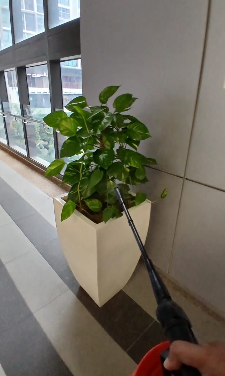 Residual spraying for commercial building