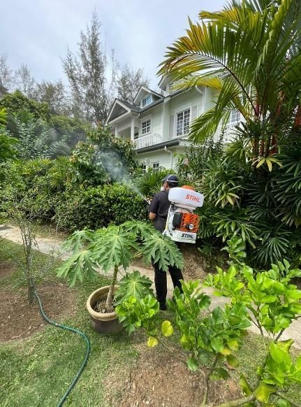 mosquito power spray