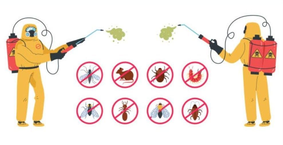 Dos operarios de control de plagas con trajes amarillos de protección rociando productos químicos. Iconos de insectos y roedores con símbolos rojos de 