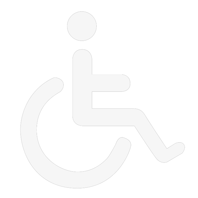 Handicap icon