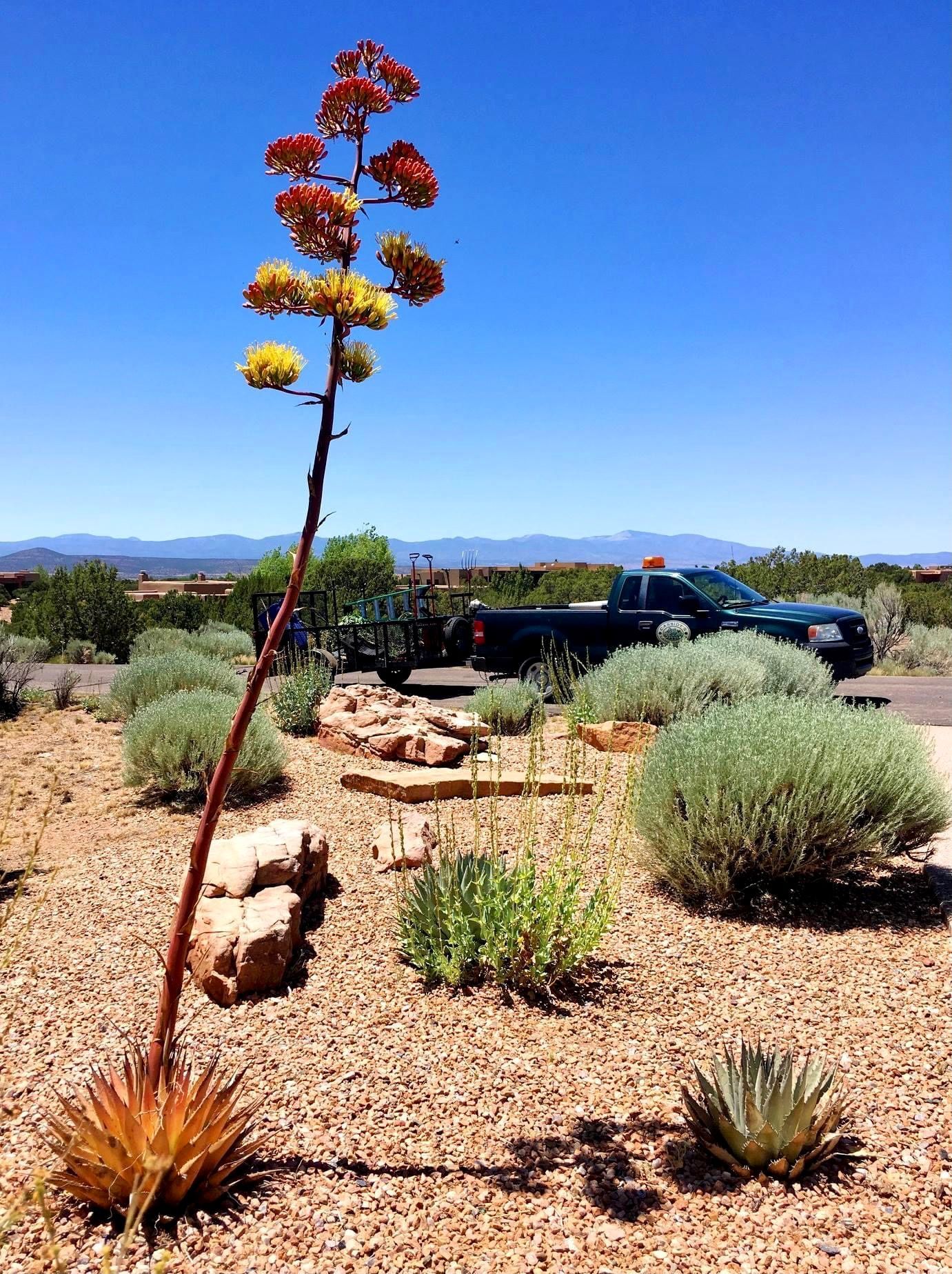 Landscape of Garden — Lawn Maintenance in Santa Fe, NM