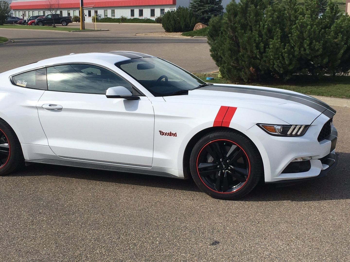 white mustang muscle car with red decorative decals on it