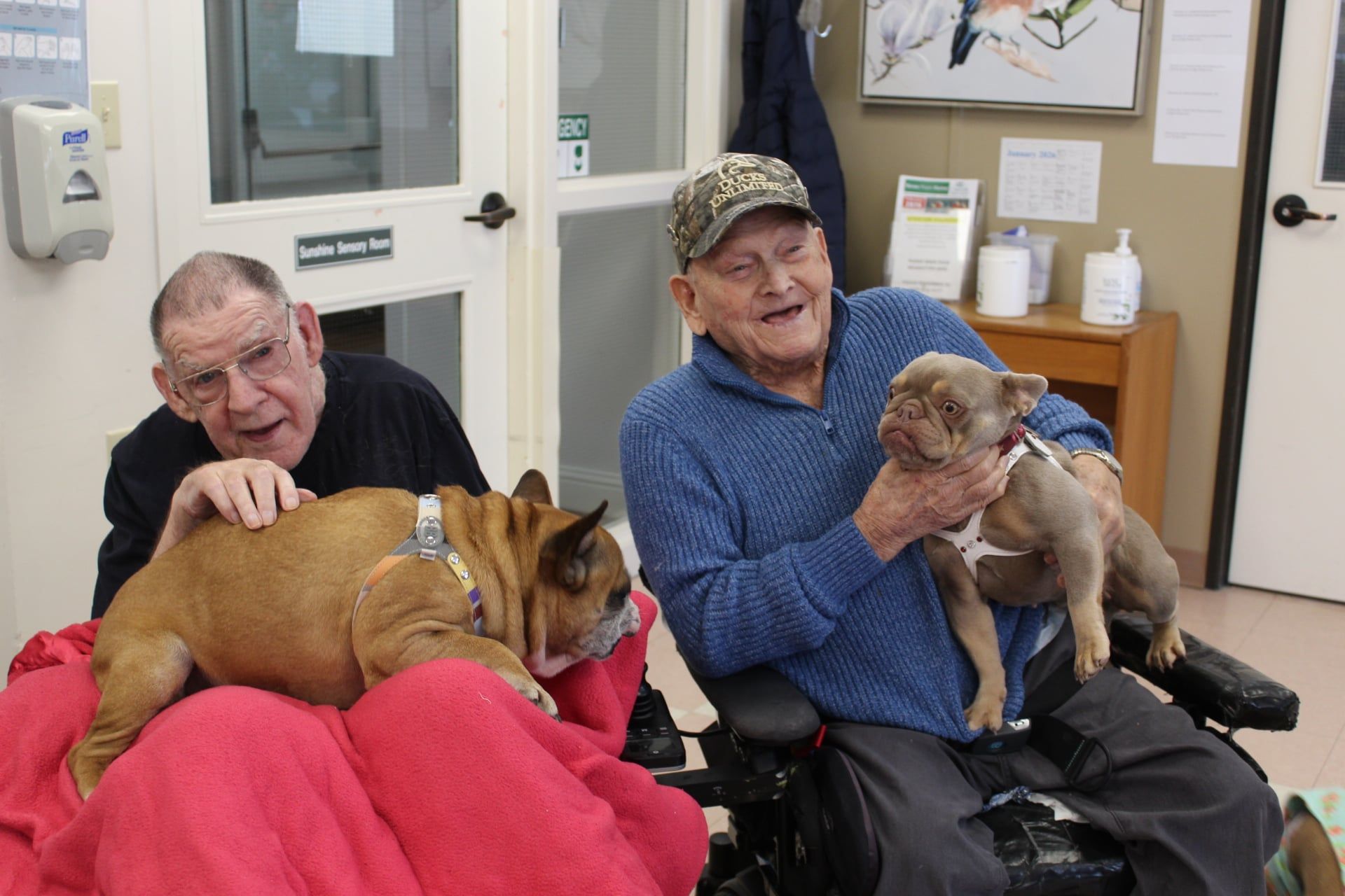Two seated men in a room holding small dogs, one on a red blanket and one in a wheelchair
