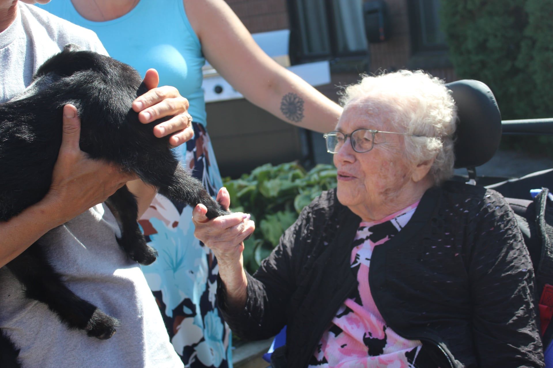 Elderly woman in a wheelchair reaches toward a small black dog being held by another person outdoors