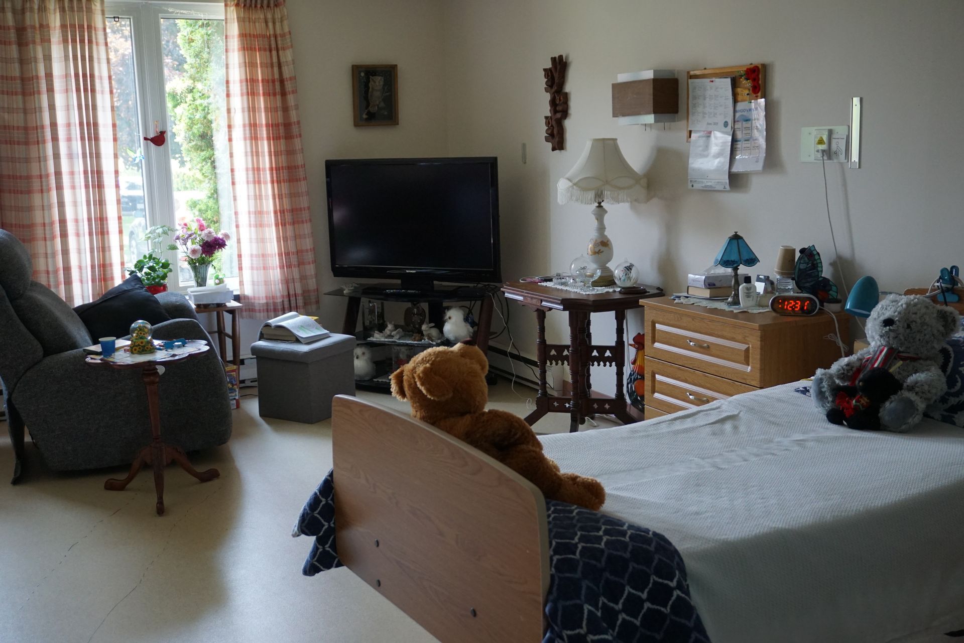 Bedroom with bed, TV, dresser, chair, and a small dog on the bed in a sunlit room