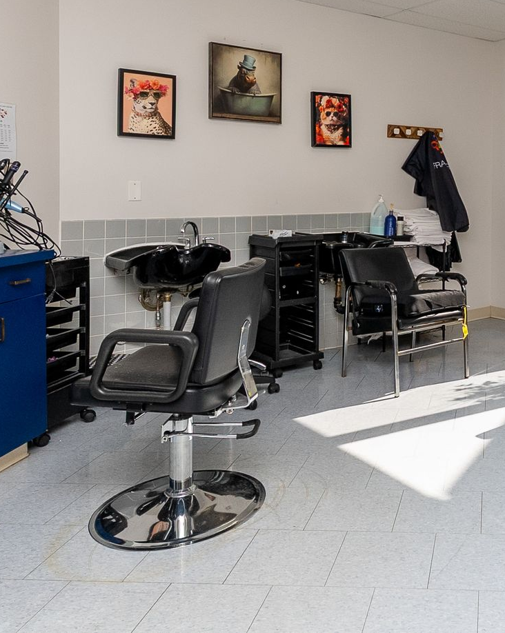 Barbershop interior with black styling chairs, shampoo sink, mirrors, and sunlight on the floor