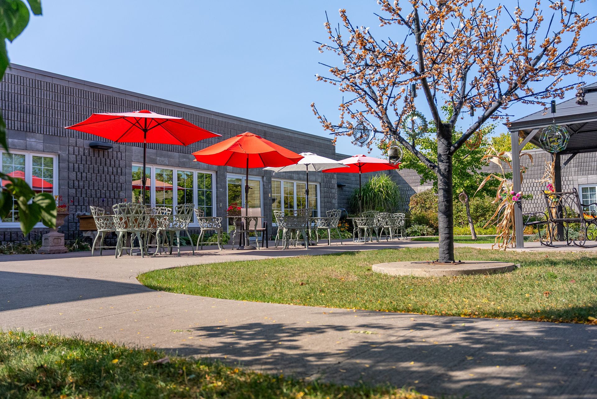 Outdoor café patio with red umbrellas, tables, and a tree beside a modern building