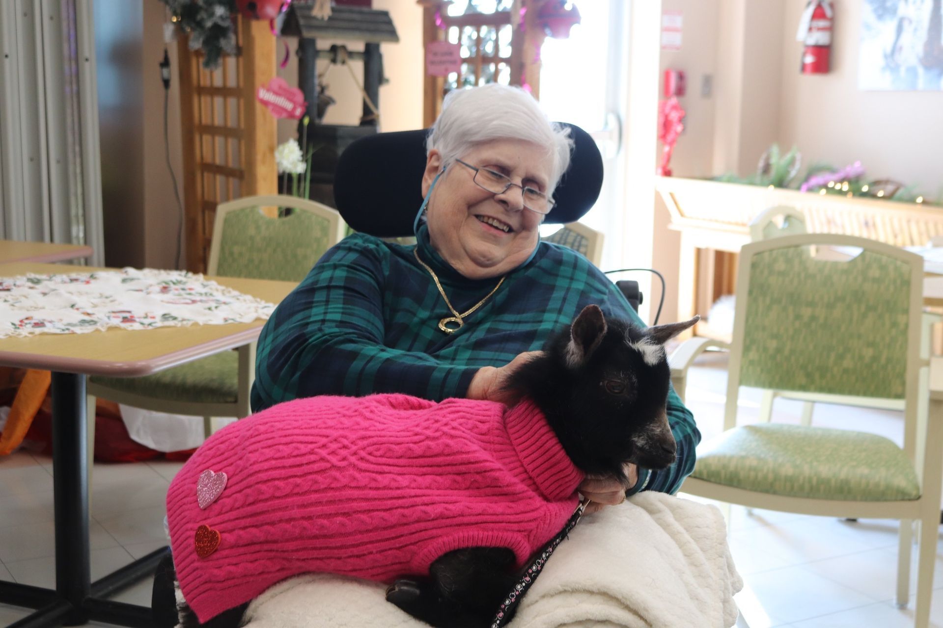 Smiling person in a green plaid shirt holding a black cat in a bright pink sweater indoors