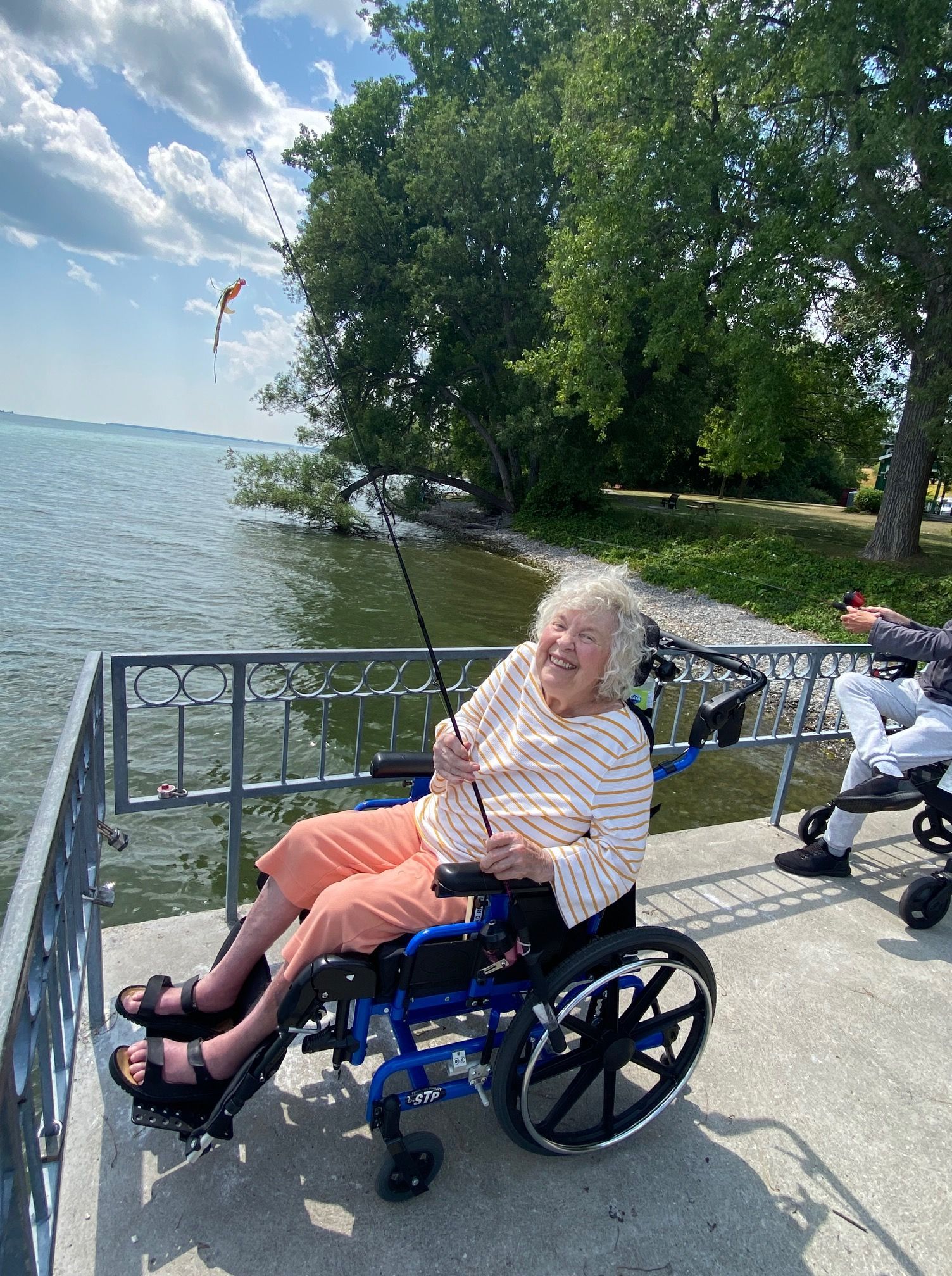 Woman in a wheelchair by a lakeside railing, with a small dog nearby on a sunny day.