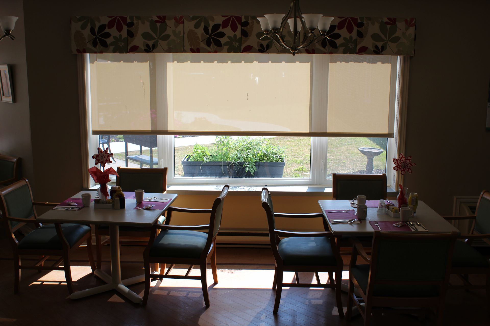 Dining table set before a large sunlit window with beige blinds and potted plants outside.