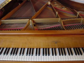 Keyboard Tuning — Wood Piano in Ortley Beach, NJ