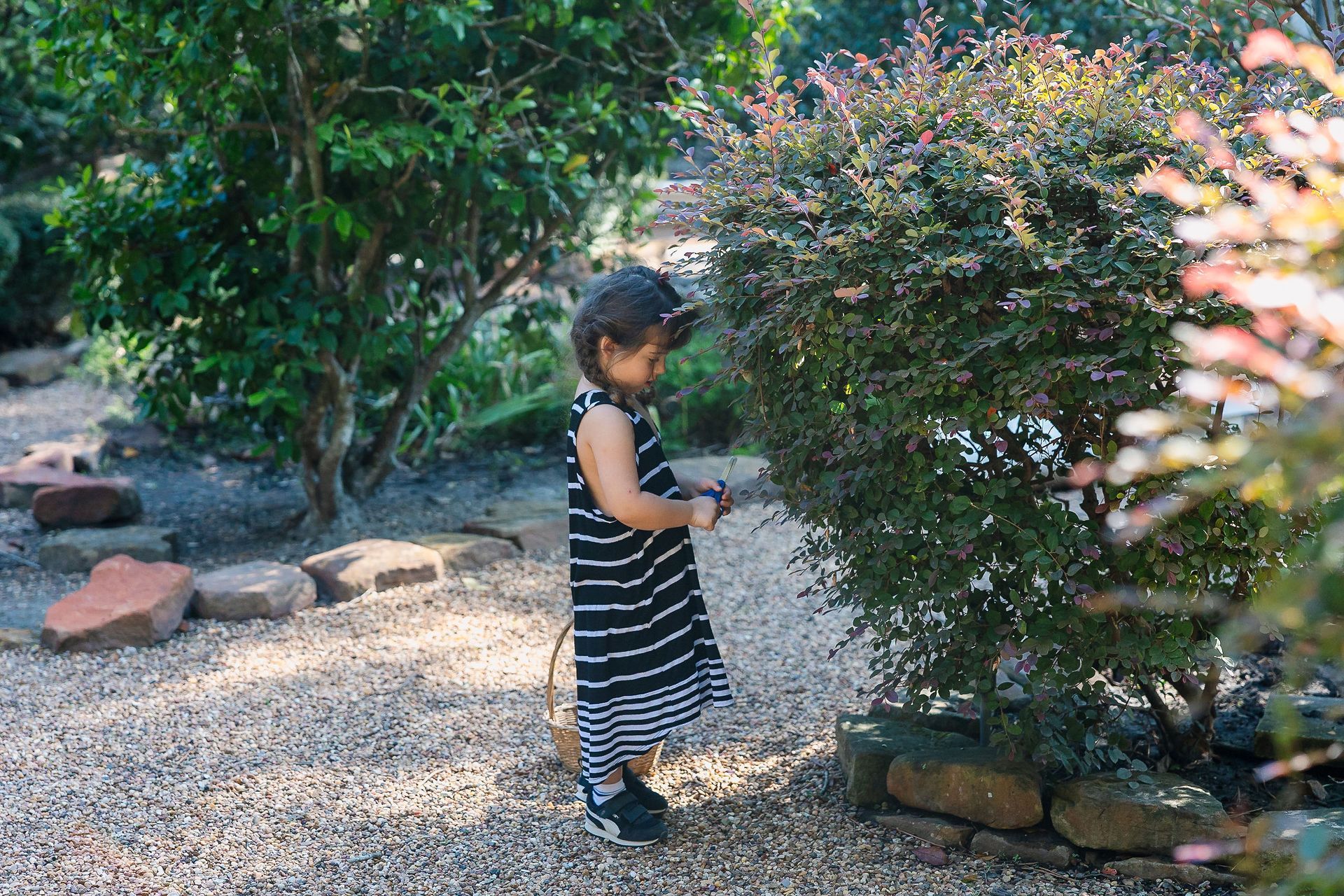 Child in a black-and-white striped dress standing in a garden with bushes and gravel.