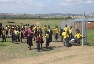 Drug bust in Newtown, Fort Beaufort