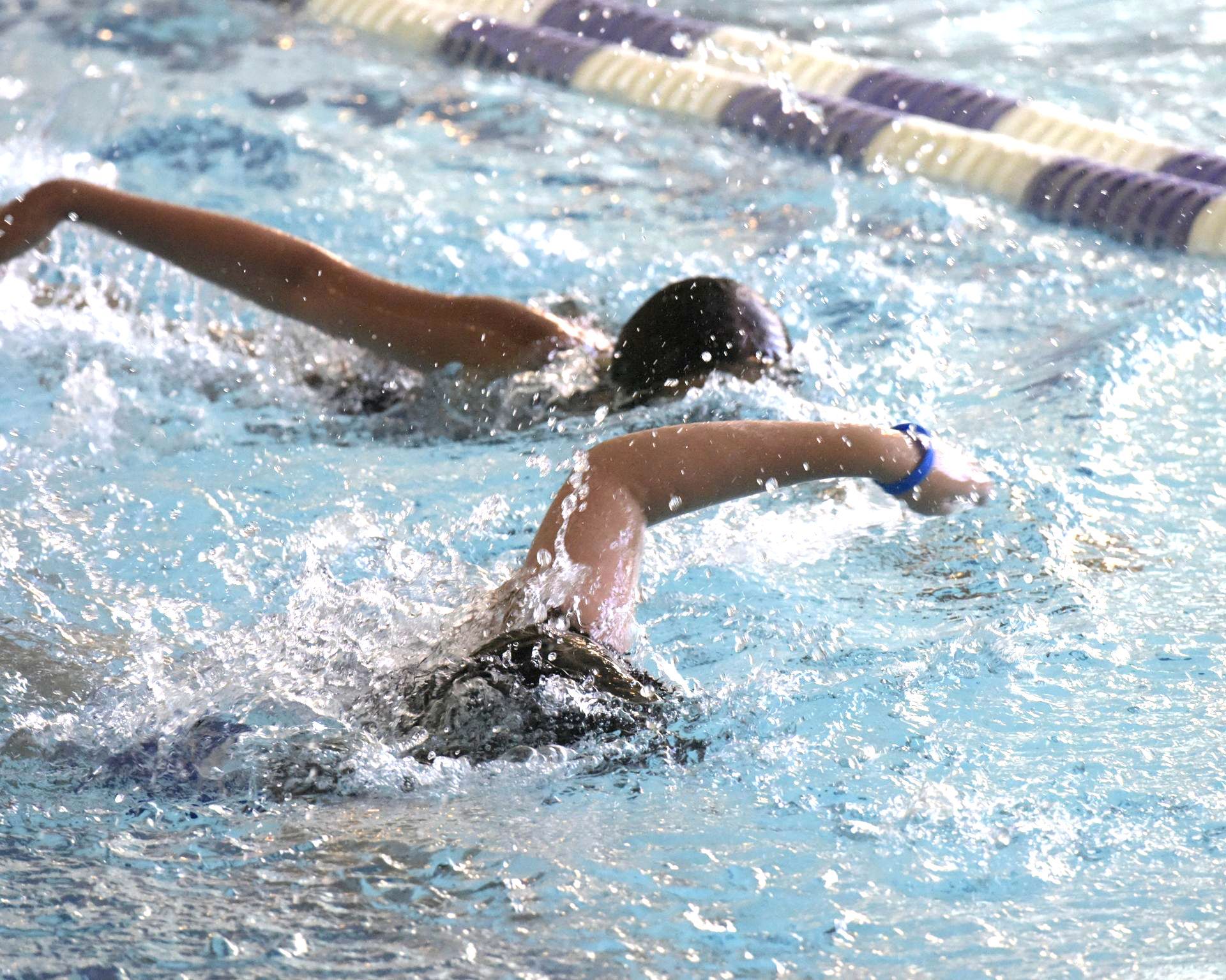 Two people are swimming in a swimming pool.