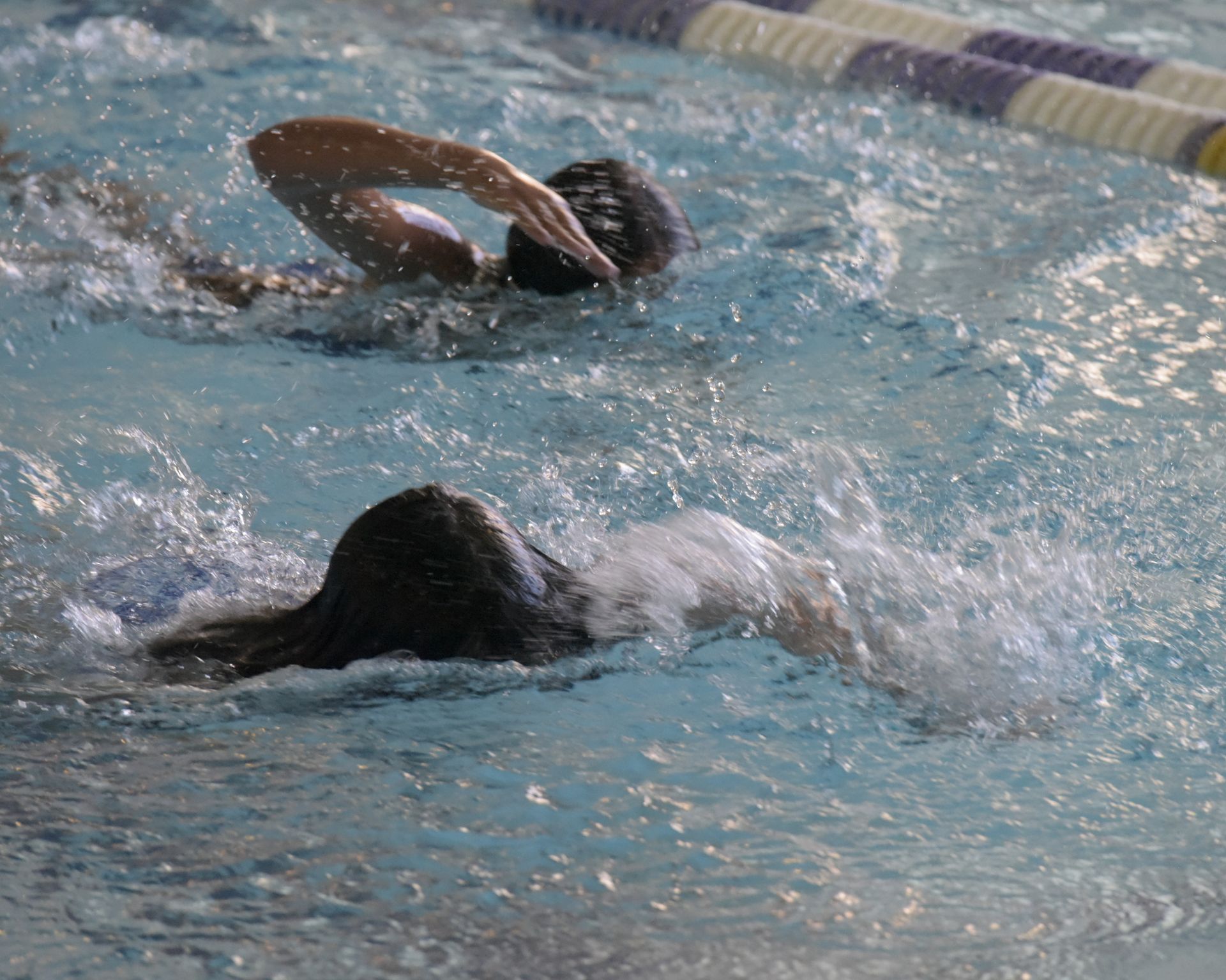 Two people are swimming in a swimming pool.