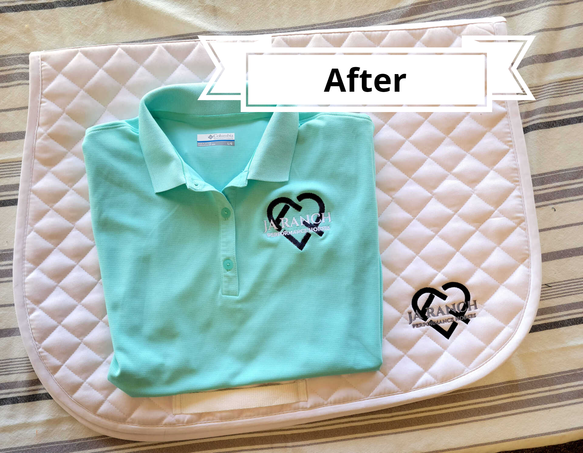 horse blanket gallery