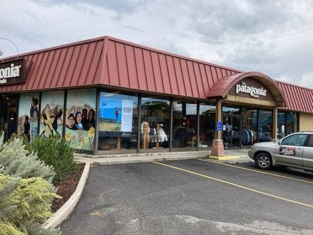 A patagonia store with a car parked in front of it