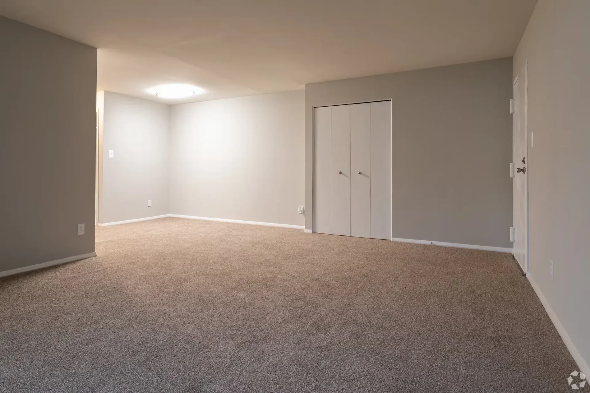 Empty living area with beige carpet, light gray walls, and a double-door closet.